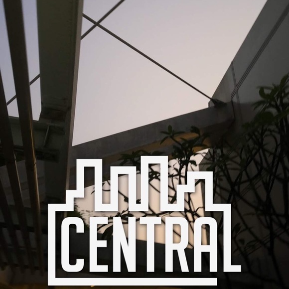 Meet your Posher, Daphne - Picture 1 of 1